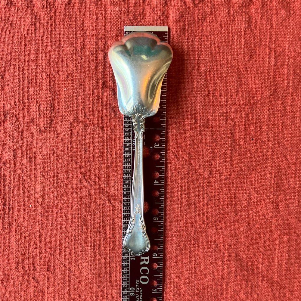 Gorham Chantilly (Lion-Anchor-G) 6” Sugar Shell Spoon No Scroll w/ Monogram - Picture 7 of 8